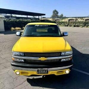 2002 Chevrolet Silverado 1500 LS Sportside Regency Super Sport