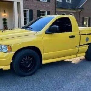2004 Dodge Ram 1500 SLT Rumble Bee