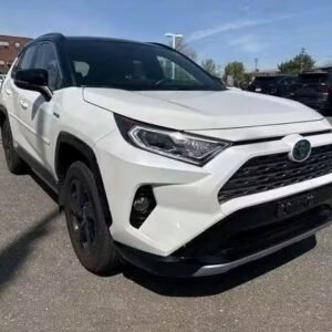 2019 Toyota RAV4 Hybrid SE AWD